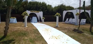 Arch and Backdrop designs in nakuru and red carpet