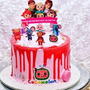 Coco party edible cake topper frosting sheet decoration edible cake im –  Cakes For Cures