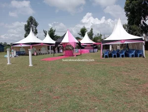 wedding event management in Nakuru (1)